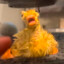 meep