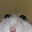 fat