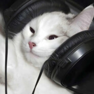 寄把叉进小学里