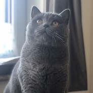 我起了，一枪秒了