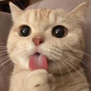 你的枪不如我的der硬！