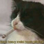 sayuw