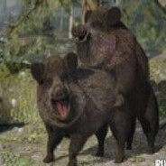 БАКСТЕР СКРЯКС