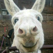 [PRO] Goat Mayor[RU]