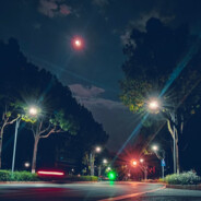 平台不敢和我正面对刚