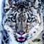 MacOSX10