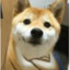 炎龙侠