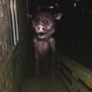 Fister Mister (◕ヮ◕)