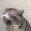 我不会玩