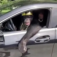 эчпочмак - steam id 76561199039628427