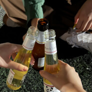 不做法学院的猪