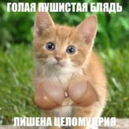 Терминатор2007