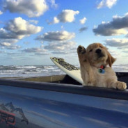 人生可以犯错突破不行