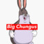 BIG CHUNGUS