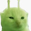 Glorp