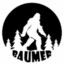 bAUMER GoesPro