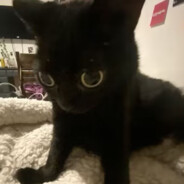 50（100）LB已准备就绪