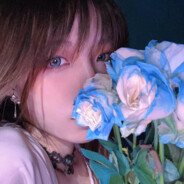 想想琪宝会怎么做