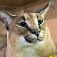 Большой Шлёпа