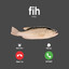 fih