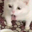 Nyatto