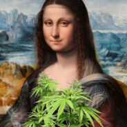 smoke smoke every day