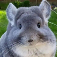 既无风雨亦无晴