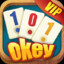 101 OKEY VİP