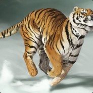 菜逼新人在线求锤