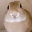poop_nuts