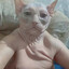 Кмс по Фиду