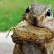 TI9，干TM！