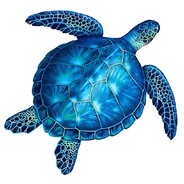 OpticalTurtle