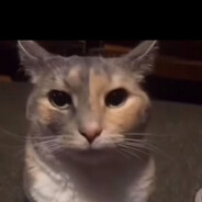 e1ray - steam id 76561198980388343