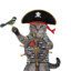 Captain Cat