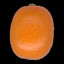 Golden Kumquat