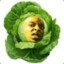 21 Cabbage