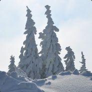 nonyhz - steam id 76561197961401127