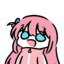 BOCCHI