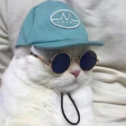 金绞焕