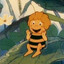 Flapi