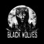 black wolves