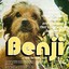 Benji