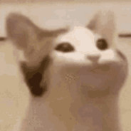 Talking Cat