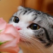 爸比我觉得我能撑到明年