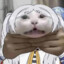 Gyoza