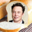 Elon Crust