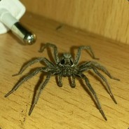 _03_RegioN_