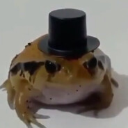 gozem297