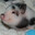 tireddxll